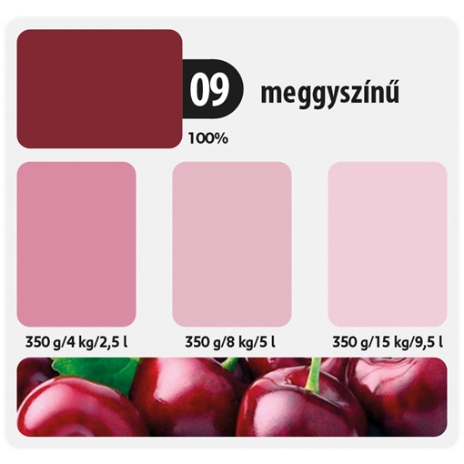 Colorline Színező festék 09 meggyszínű 350g