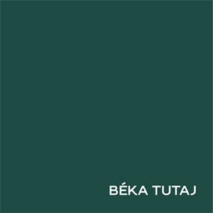 Dulux Nagyvilág Színei Béka tutaj 2,5 L