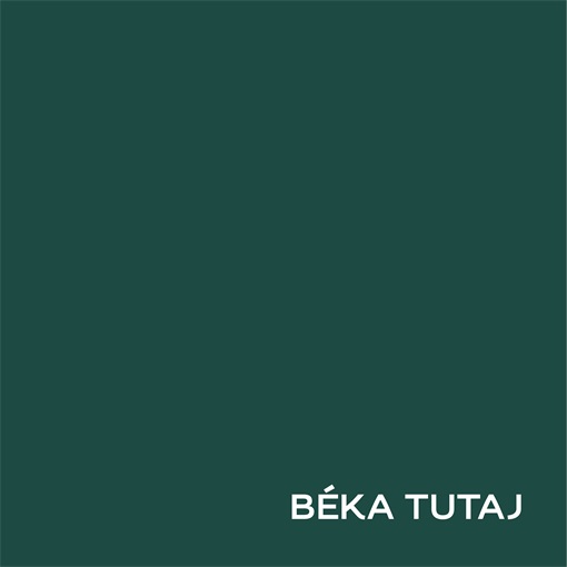 Dulux Nagyvilág Színei Béka tutaj 2,5 L