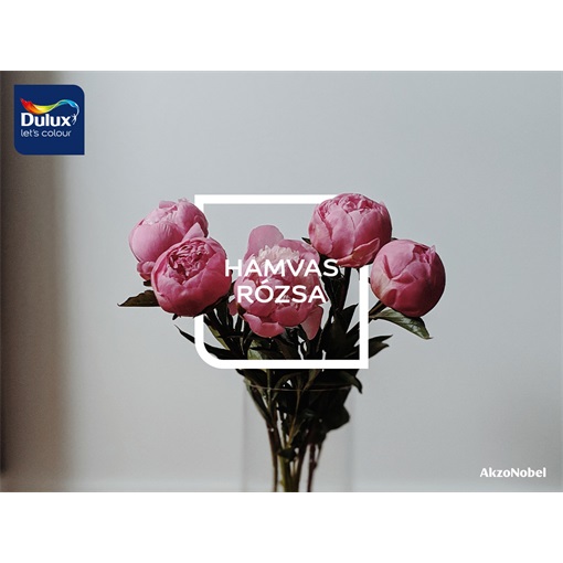 Dulux Nagyvilág Színei Hamvas rózsa 2,5 L