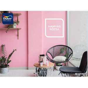 Dulux Nagyvilág Színei Hamvas rózsa 2,5 L