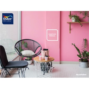 Dulux Nagyvilág Színei Hamvas rózsa 5 L