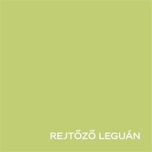 Dulux Nagyvilág Színei Rejtőző leguán 2,5 L