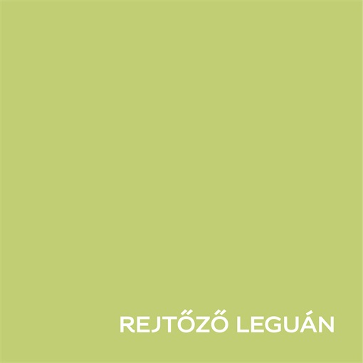 Dulux Nagyvilág Színei Rejtőző leguán 5 L