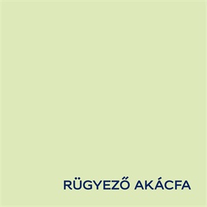 Dulux Nagyvilág Színei Rügyező akácia 5 L